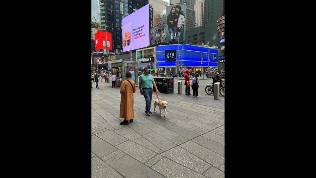 A person and their dog guide walk in New York City.